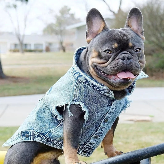 Chic Denim Dog Jacket