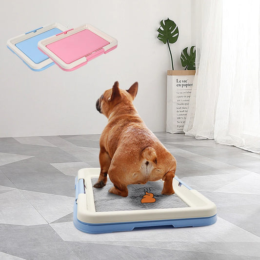 Indoor Dog Potty Trainer